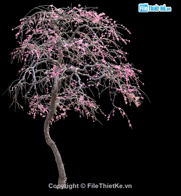 thư viện photoshop,cây photoshop,thiết kế cây hoa